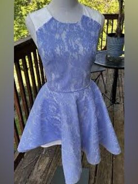 Vintage Bebe Lavender Lace Fit-and-Flare Dress